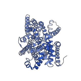 34823_8hin_A_v1-3
Structure of human SGLT2-MAP17 complex with Phlorizin