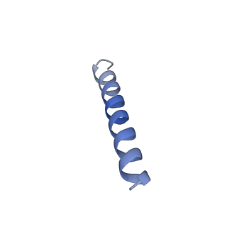 34823_8hin_B_v1-3
Structure of human SGLT2-MAP17 complex with Phlorizin