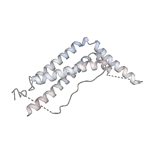 34824_8hio_D_v1-3
Cryo-EM structure of the Cas12m2-crRNA binary complex