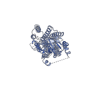 34825_8hip_A_v1-0
dsRNA transporter