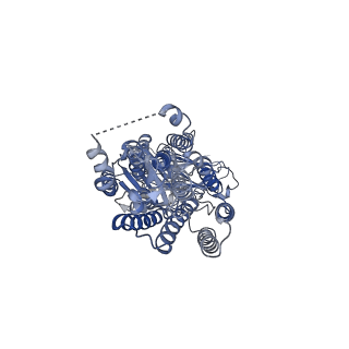 34825_8hip_B_v1-0
dsRNA transporter