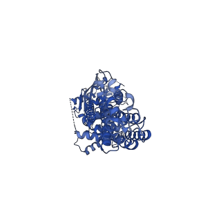 4256_6hij_A_v1-2
Cryo-EM structure of the human ABCG2-MZ29-Fab complex with cholesterol and PE lipids docked