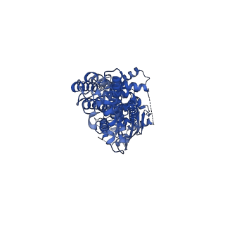 4256_6hij_B_v1-2
Cryo-EM structure of the human ABCG2-MZ29-Fab complex with cholesterol and PE lipids docked
