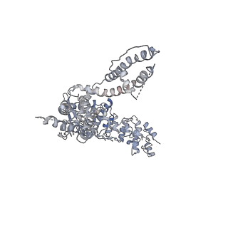 6580_5hi9_A_v1-3
Structure of the full-length TRPV2 channel by cryo-electron microscopy