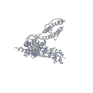 6580_5hi9_A_v1-4
Structure of the full-length TRPV2 channel by cryo-electron microscopy