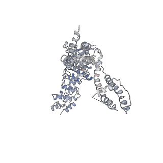 6580_5hi9_B_v1-3
Structure of the full-length TRPV2 channel by cryo-electron microscopy