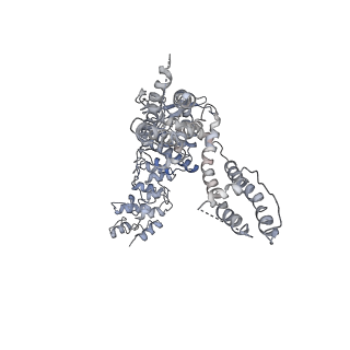 6580_5hi9_B_v1-4
Structure of the full-length TRPV2 channel by cryo-electron microscopy