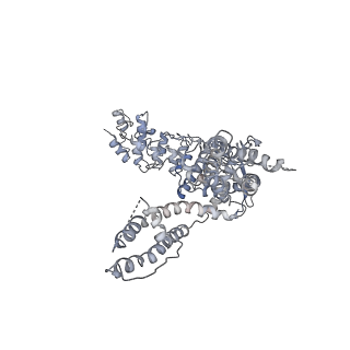 6580_5hi9_C_v1-3
Structure of the full-length TRPV2 channel by cryo-electron microscopy