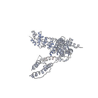 6580_5hi9_C_v1-4
Structure of the full-length TRPV2 channel by cryo-electron microscopy