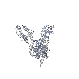 6580_5hi9_D_v1-3
Structure of the full-length TRPV2 channel by cryo-electron microscopy