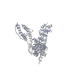 6580_5hi9_D_v1-4
Structure of the full-length TRPV2 channel by cryo-electron microscopy