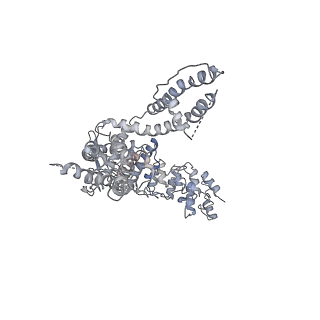 6618_5hi9_A_v1-3
Structure of the full-length TRPV2 channel by cryo-electron microscopy