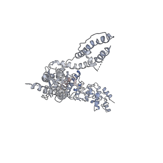 6618_5hi9_A_v1-4
Structure of the full-length TRPV2 channel by cryo-electron microscopy