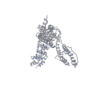 6618_5hi9_B_v1-3
Structure of the full-length TRPV2 channel by cryo-electron microscopy