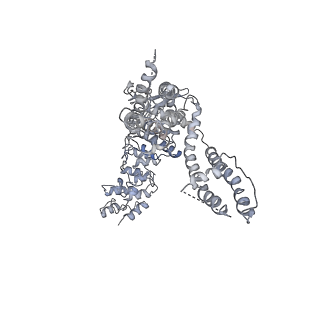 6618_5hi9_B_v1-4
Structure of the full-length TRPV2 channel by cryo-electron microscopy