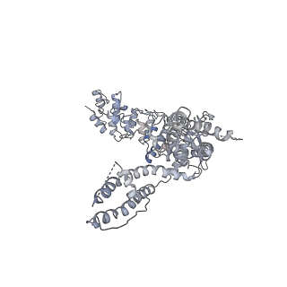6618_5hi9_C_v1-3
Structure of the full-length TRPV2 channel by cryo-electron microscopy