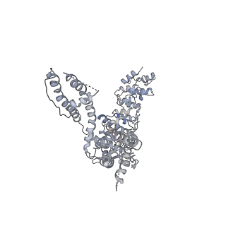 6618_5hi9_D_v1-3
Structure of the full-length TRPV2 channel by cryo-electron microscopy