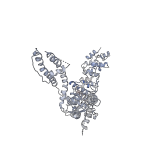 6618_5hi9_D_v1-4
Structure of the full-length TRPV2 channel by cryo-electron microscopy
