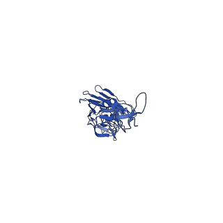 0234_6hjn_A_v2-0
Structure of Influenza Hemagglutinin ectodomain (A/duck/Alberta/35/76)