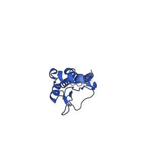 0234_6hjn_B_v1-2
Structure of Influenza Hemagglutinin ectodomain (A/duck/Alberta/35/76)