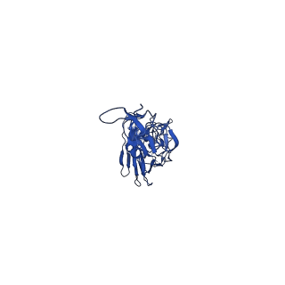 0234_6hjn_C_v1-2
Structure of Influenza Hemagglutinin ectodomain (A/duck/Alberta/35/76)