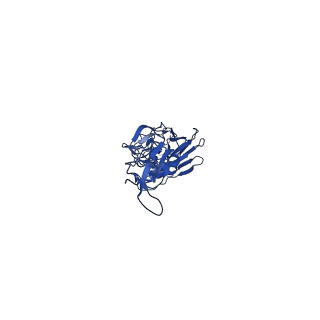 0234_6hjn_E_v1-2
Structure of Influenza Hemagglutinin ectodomain (A/duck/Alberta/35/76)