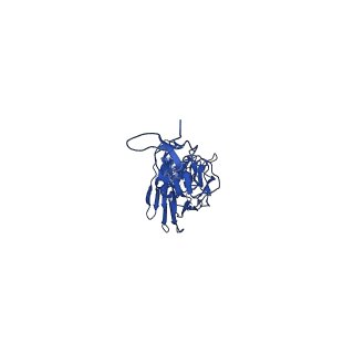 0235_6hjp_A_v1-2
Structure of Influenza Hemagglutinin ectodomain (A/duck/Alberta/35/76) in complex with FISW84 Fab Fragment