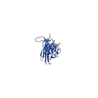 0235_6hjp_A_v2-0
Structure of Influenza Hemagglutinin ectodomain (A/duck/Alberta/35/76) in complex with FISW84 Fab Fragment