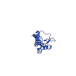 0235_6hjp_B_v1-2
Structure of Influenza Hemagglutinin ectodomain (A/duck/Alberta/35/76) in complex with FISW84 Fab Fragment