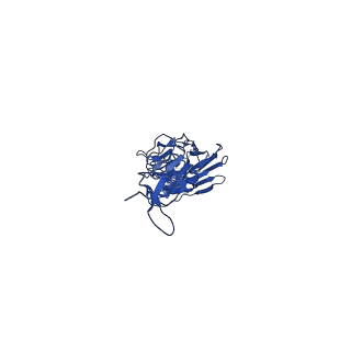 0235_6hjp_C_v1-2
Structure of Influenza Hemagglutinin ectodomain (A/duck/Alberta/35/76) in complex with FISW84 Fab Fragment