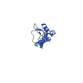 0235_6hjp_D_v1-2
Structure of Influenza Hemagglutinin ectodomain (A/duck/Alberta/35/76) in complex with FISW84 Fab Fragment