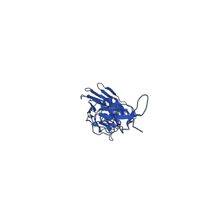 0235_6hjp_E_v1-2
Structure of Influenza Hemagglutinin ectodomain (A/duck/Alberta/35/76) in complex with FISW84 Fab Fragment
