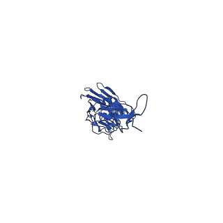 0235_6hjp_E_v2-0
Structure of Influenza Hemagglutinin ectodomain (A/duck/Alberta/35/76) in complex with FISW84 Fab Fragment