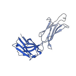 0235_6hjp_G_v1-2
Structure of Influenza Hemagglutinin ectodomain (A/duck/Alberta/35/76) in complex with FISW84 Fab Fragment