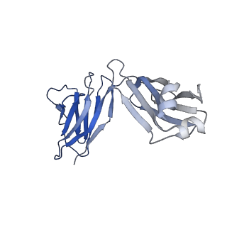 0235_6hjp_H_v1-2
Structure of Influenza Hemagglutinin ectodomain (A/duck/Alberta/35/76) in complex with FISW84 Fab Fragment