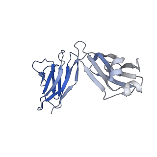 0235_6hjp_H_v2-0
Structure of Influenza Hemagglutinin ectodomain (A/duck/Alberta/35/76) in complex with FISW84 Fab Fragment