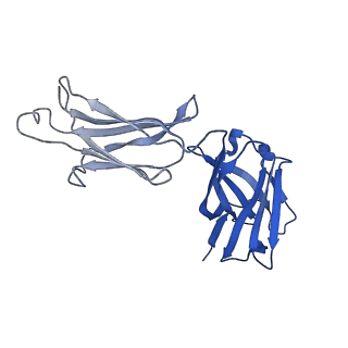 0235_6hjp_I_v1-2
Structure of Influenza Hemagglutinin ectodomain (A/duck/Alberta/35/76) in complex with FISW84 Fab Fragment