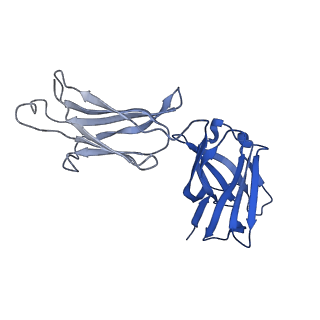0235_6hjp_I_v2-0
Structure of Influenza Hemagglutinin ectodomain (A/duck/Alberta/35/76) in complex with FISW84 Fab Fragment