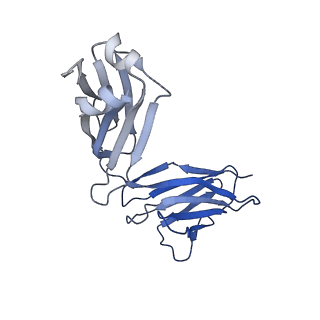 0235_6hjp_J_v1-2
Structure of Influenza Hemagglutinin ectodomain (A/duck/Alberta/35/76) in complex with FISW84 Fab Fragment
