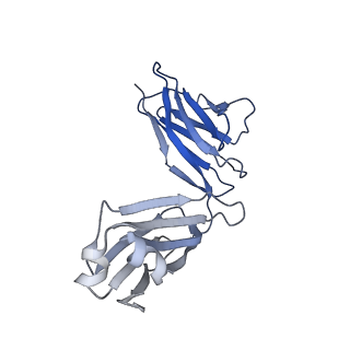 0235_6hjp_L_v1-2
Structure of Influenza Hemagglutinin ectodomain (A/duck/Alberta/35/76) in complex with FISW84 Fab Fragment