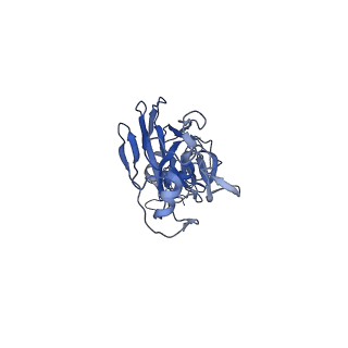 0236_6hjq_A_v1-3
Structure of Full-length Influenza Hemagglutinin (A/duck/Alberta/35/76) in complex with FISW84 Fab Fragment