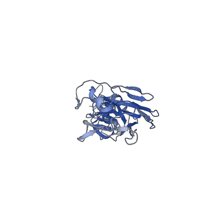 0236_6hjq_C_v1-3
Structure of Full-length Influenza Hemagglutinin (A/duck/Alberta/35/76) in complex with FISW84 Fab Fragment