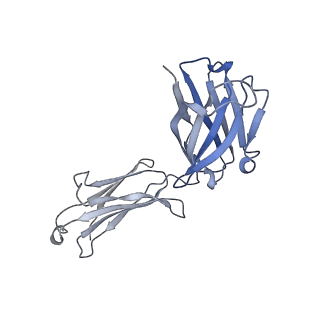 0236_6hjq_I_v1-3
Structure of Full-length Influenza Hemagglutinin (A/duck/Alberta/35/76) in complex with FISW84 Fab Fragment