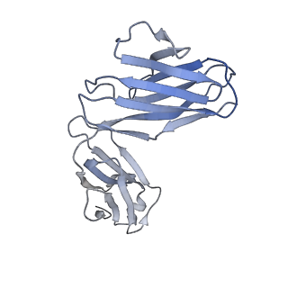 0236_6hjq_J_v1-3
Structure of Full-length Influenza Hemagglutinin (A/duck/Alberta/35/76) in complex with FISW84 Fab Fragment