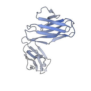 0236_6hjq_J_v2-0
Structure of Full-length Influenza Hemagglutinin (A/duck/Alberta/35/76) in complex with FISW84 Fab Fragment