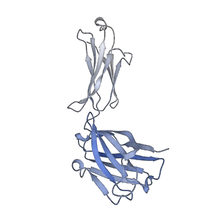 0236_6hjq_K_v1-3
Structure of Full-length Influenza Hemagglutinin (A/duck/Alberta/35/76) in complex with FISW84 Fab Fragment