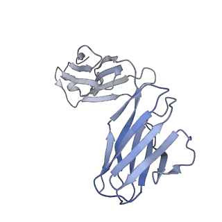 0236_6hjq_L_v1-3
Structure of Full-length Influenza Hemagglutinin (A/duck/Alberta/35/76) in complex with FISW84 Fab Fragment