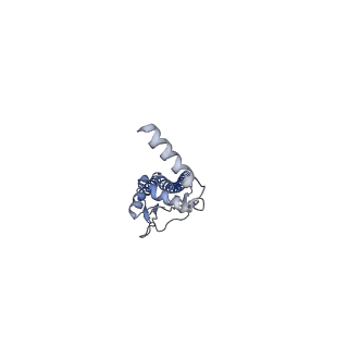 0237_6hjr_B_v1-2
Structure of full-length Influenza Hemagglutinin with tilted transmembrane (A/duck/Alberta/35/76[H1N1])
