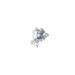 0237_6hjr_F_v1-2
Structure of full-length Influenza Hemagglutinin with tilted transmembrane (A/duck/Alberta/35/76[H1N1])