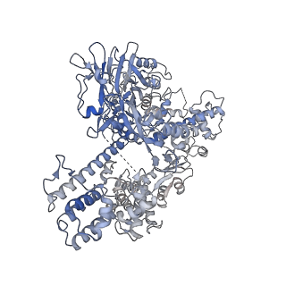 34832_8hj4_A_v1-2
CryoEM structure of an anti-CRISPR protein AcrIIC5 bound to Nme1Cas9-sgRNA complex